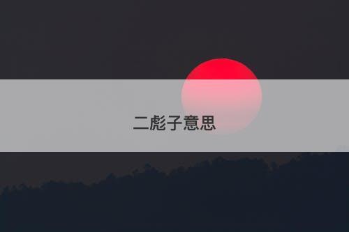 二彪子意思