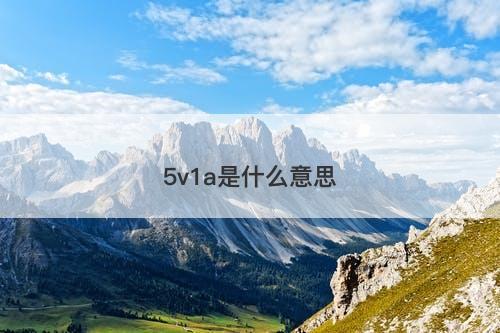 5v1a是什么意思
