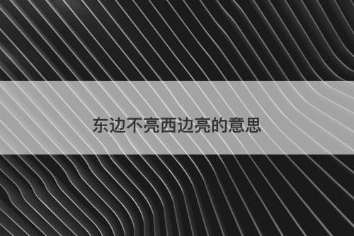 东边不亮西边亮的意思