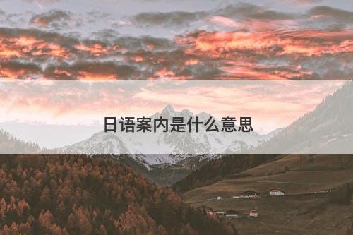 日语案内是什么意思