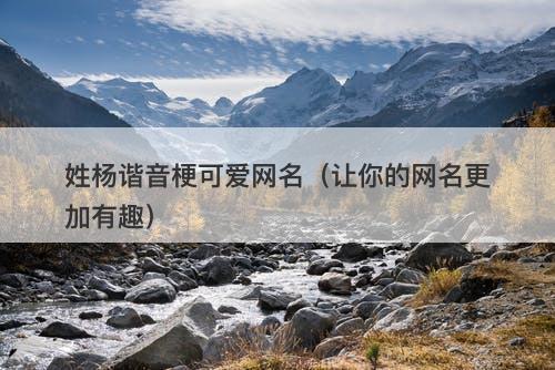 姓杨谐音梗可爱网名（让你的网名更加有趣）