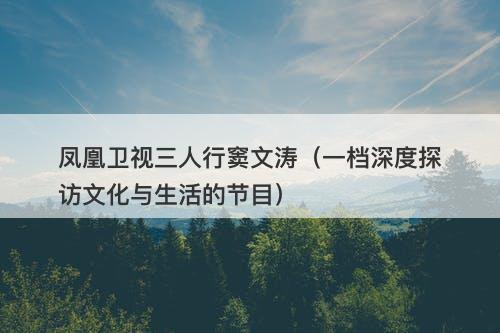 凤凰卫视三人行窦文涛（一档深度探访文化与生活的节目）