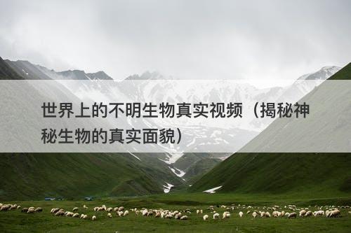 世界上的不明生物真实视频（揭秘神秘生物的真实面貌）