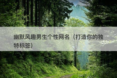 幽默风趣男生个性网名（打造你的独特标签）