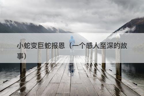 小蛇变巨蛇报恩（一个感人至深的故事）