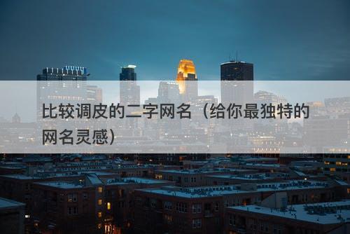 比较调皮的二字网名（给你最独特的网名灵感）