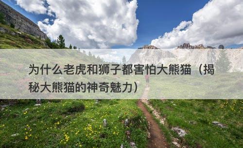 为什么老虎和狮子都害怕大熊猫（揭秘大熊猫的神奇魅力）