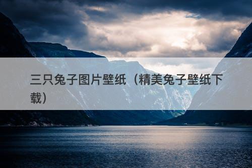三只兔子图片壁纸（精美兔子壁纸下载）