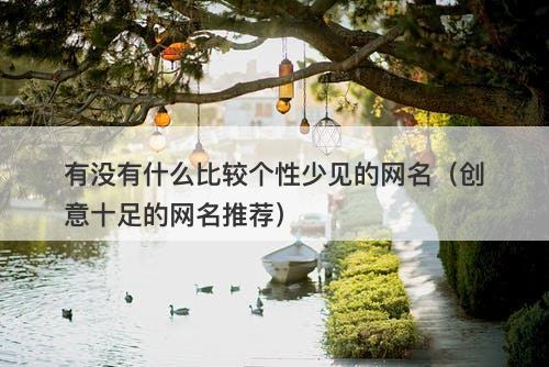 有没有什么比较个性少见的网名（创意十足的网名推荐）