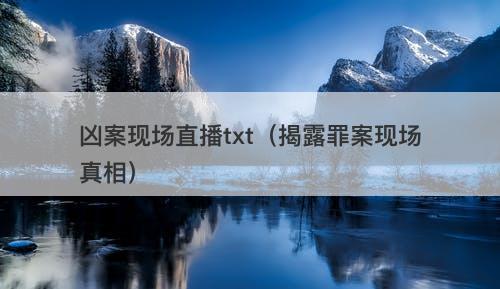 凶案现场直播txt（揭露罪案现场真相）