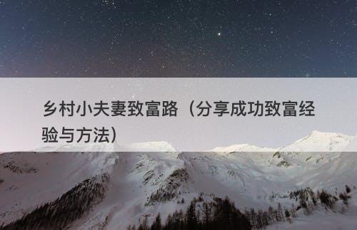 乡村小夫妻致富路（分享成功致富经验与方法）