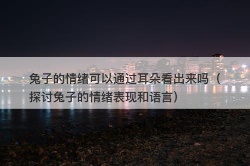 兔子的情绪可以通过耳朵看出来吗（探讨兔子的情绪表现和语言）