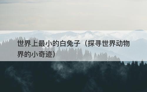 世界上最小的白兔子（探寻世界动物界的小奇迹）