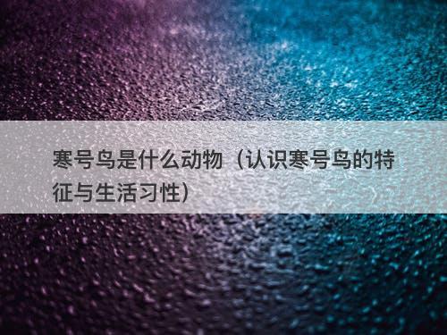 寒号鸟是什么动物（认识寒号鸟的特征与生活习性）