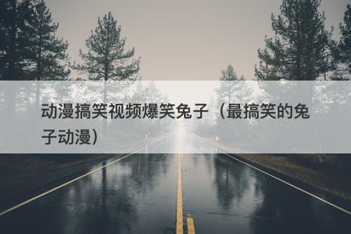动漫搞笑视频爆笑兔子（最搞笑的兔子动漫）