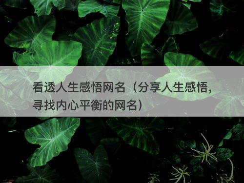 看透人生感悟网名（分享人生感悟，寻找内心平衡的网名）