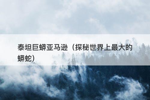 泰坦巨蟒亚马逊（探秘世界上最大的蟒蛇）