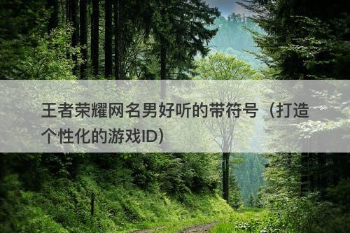 王者荣耀网名男好听的带符号（打造个性化的游戏ID）