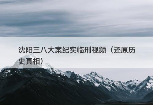 沈阳三八大案纪实临刑视频（还原历史真相）