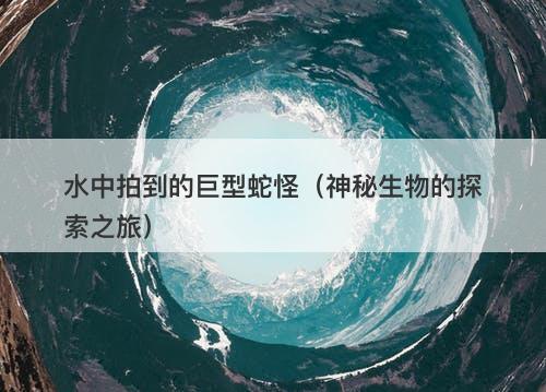 水中拍到的巨型蛇怪（神秘生物的探索之旅）-图1