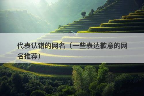 代表认错的网名（一些表达歉意的网名推荐）