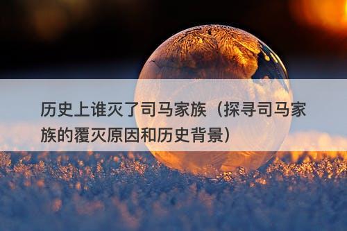 历史上谁灭了司马家族（探寻司马家族的覆灭原因和历史背景）