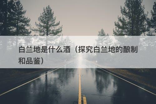 白兰地是什么酒（探究白兰地的酿制和品鉴）