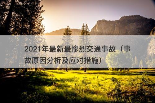 2021年最新最惨烈交通事故（事故原因分析及应对措施）
