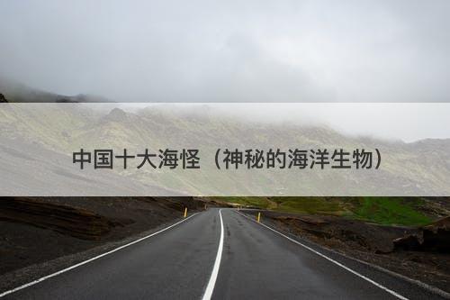 中国十大海怪（神秘的海洋生物）