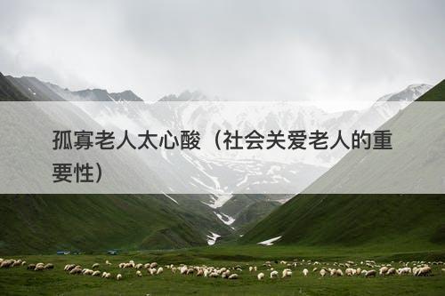 孤寡老人太心酸（社会关爱老人的重要性）