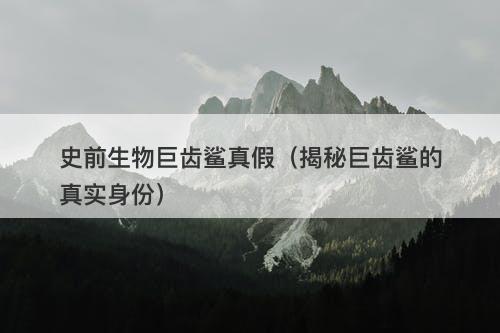 史前生物巨齿鲨真假（揭秘巨齿鲨的真实身份）