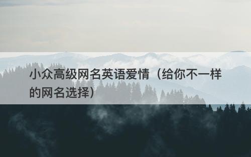 小众高级网名英语爱情（给你不一样的网名选择）