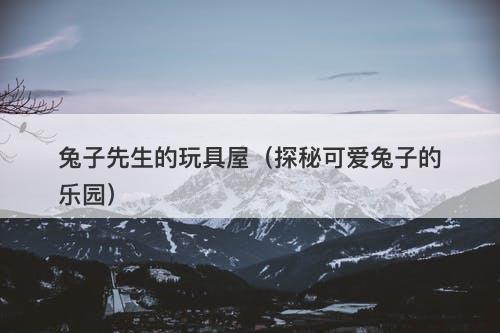兔子先生的玩具屋（探秘可爱兔子的乐园）-图1