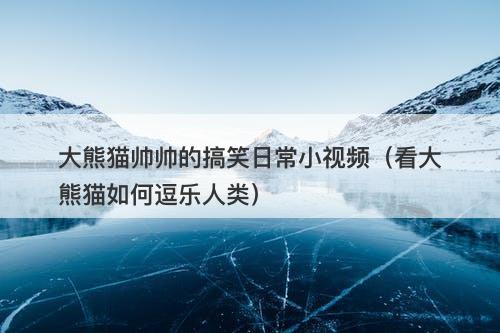大熊猫帅帅的搞笑日常小视频（看大熊猫如何逗乐人类）