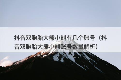 抖音双胞胎大熊小熊有几个账号（抖音双胞胎大熊小熊账号数量解析）