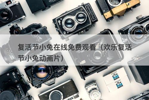 复活节小兔在线免费观看（欢乐复活节小兔动画片）