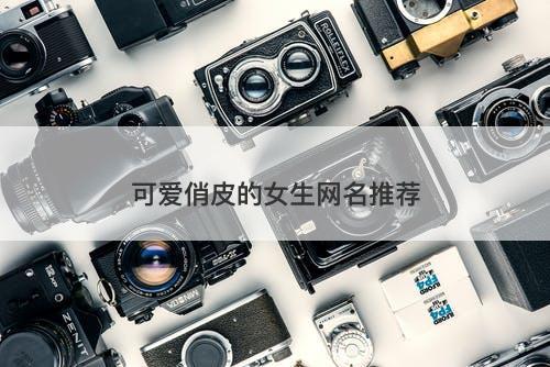 可爱俏皮的女生网名推荐