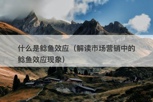 什么是鲶鱼效应（解读市场营销中的鲶鱼效应现象）