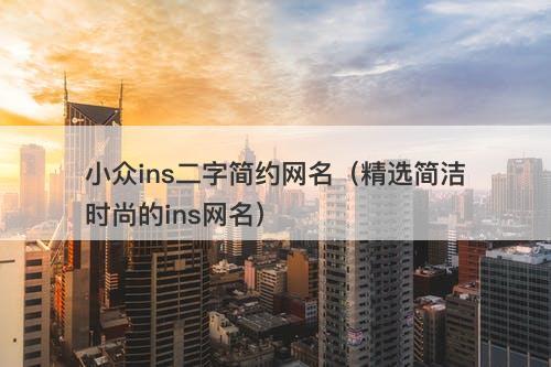 小众ins二字简约网名（精选简洁时尚的ins网名）