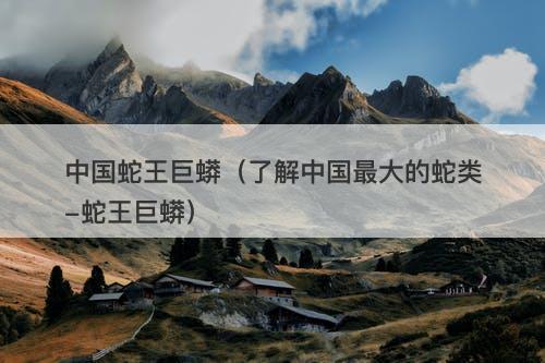 中国蛇王巨蟒（了解中国最大的蛇类-蛇王巨蟒）