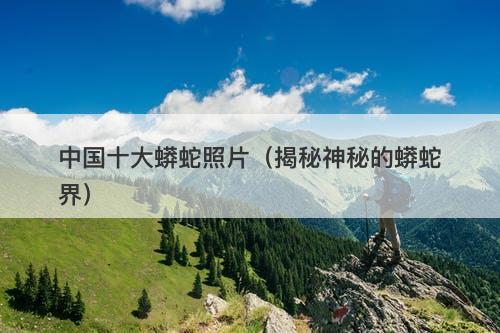 中国十大蟒蛇照片（揭秘神秘的蟒蛇界）