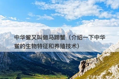 中华鲎又叫做马蹄蟹（介绍一下中华鲎的生物特征和养殖技术）