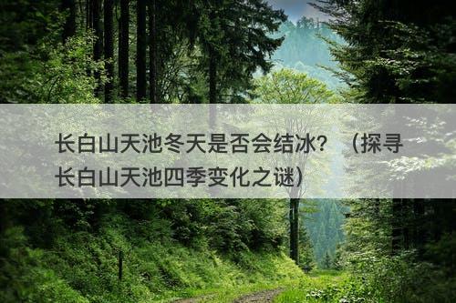 长白山天池冬天是否会结冰？（探寻长白山天池四季变化之谜）