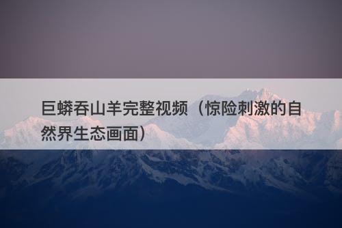 巨蟒吞山羊完整视频（惊险刺激的自然界生态画面）