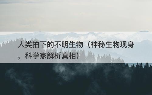 人类拍下的不明生物（神秘生物现身，科学家解析真相）