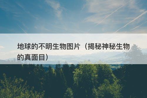 地球的不明生物图片（揭秘神秘生物的真面目）