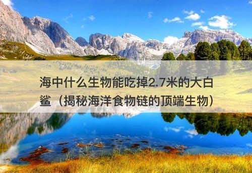海中什么生物能吃掉2.7米的大白鲨（揭秘海洋食物链的顶端生物）