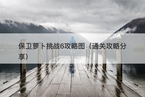 保卫萝卜挑战6攻略图（通关攻略分享）