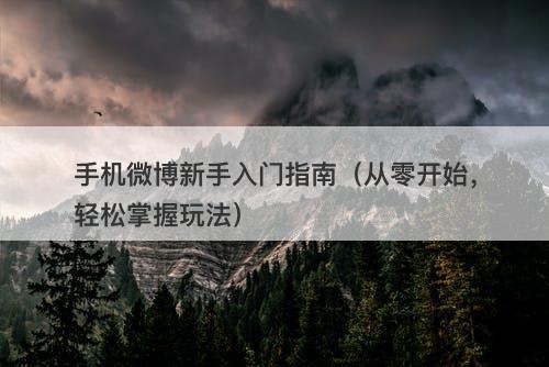 手机微博新手入门指南（从零开始，轻松掌握玩法）
