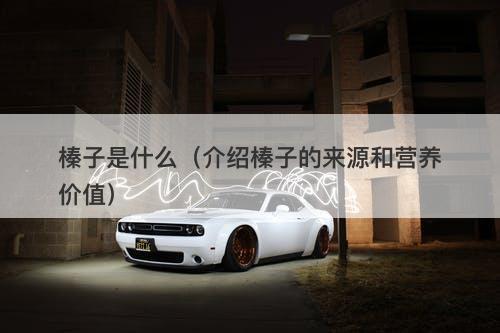 榛子是什么（介绍榛子的来源和营养价值）